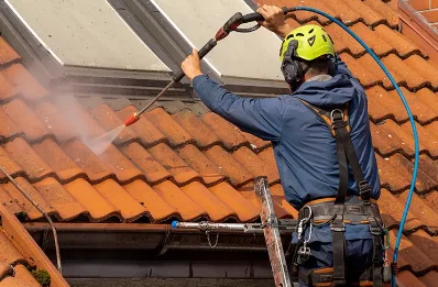 Démoussage et hydrofuge de toiture à Cieutat